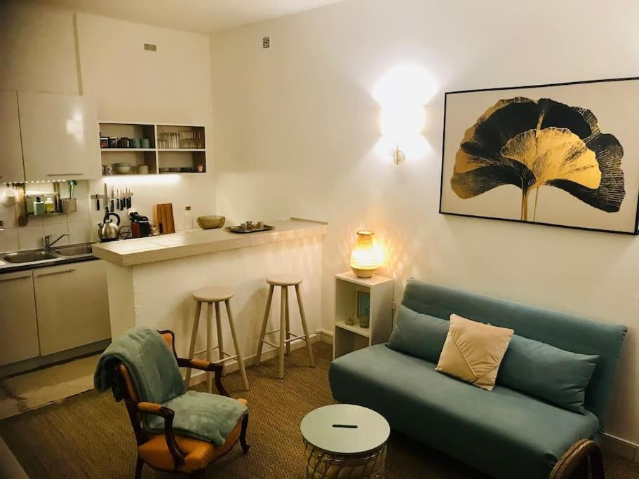 Апартаменты "Les Joncs" Cosy 2 Pieces Cour Intimiste A 5 Min Des Halles ! Сет Экстерьер фото